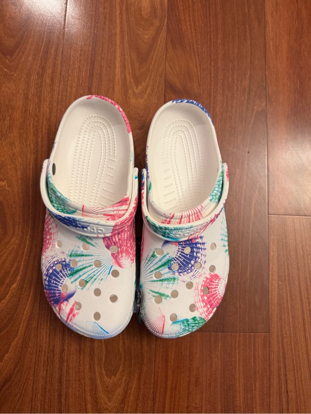 Crocs Classic Cyber Beach Clogs